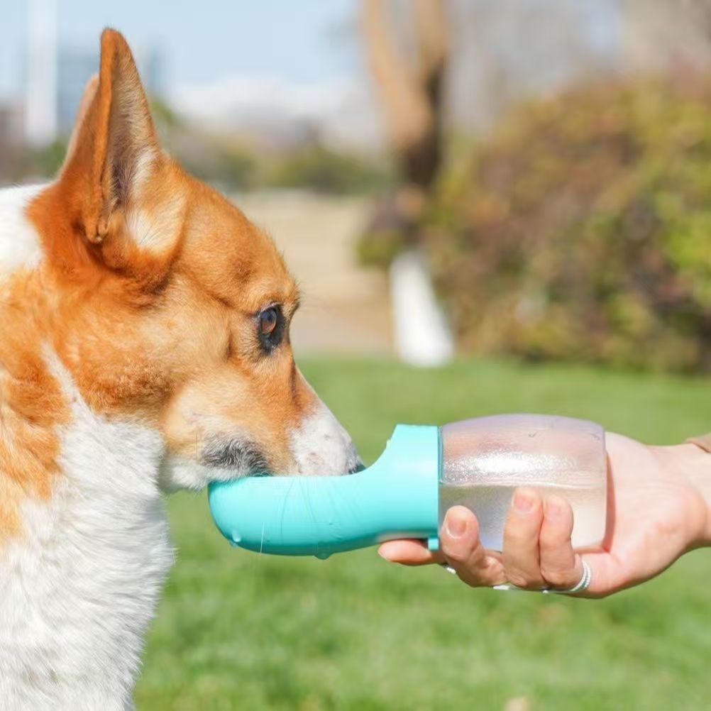 Outdoor Adventure Walks - Botella de agua portátil para perros