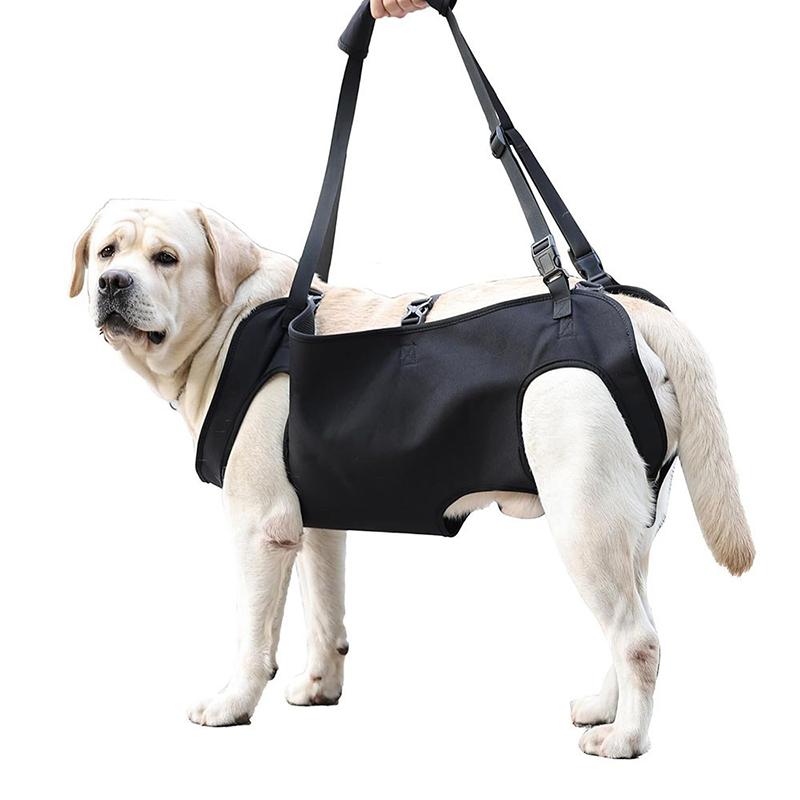 Harness Climbing Adjustable - Arnés de Asistencia para Perros Mayores