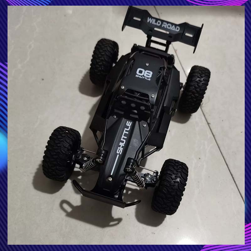 Outdoor Adventure Toys - Coche RC 1:16 de Alta Velocidad,