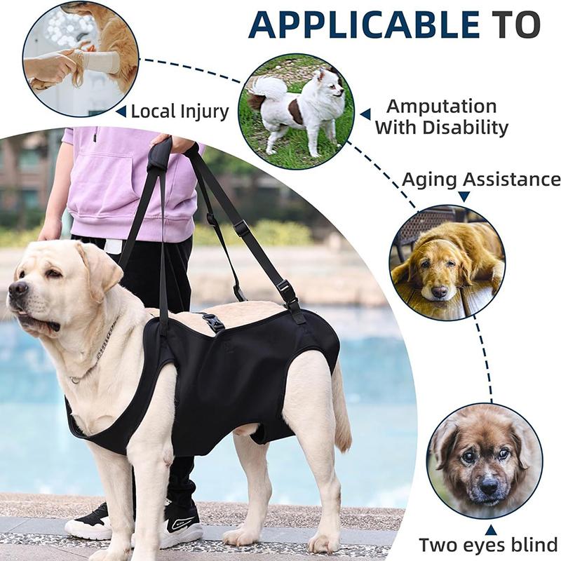 Arnés de Asistencia para Perro - Harness Climbing Adjustable reseña y precio