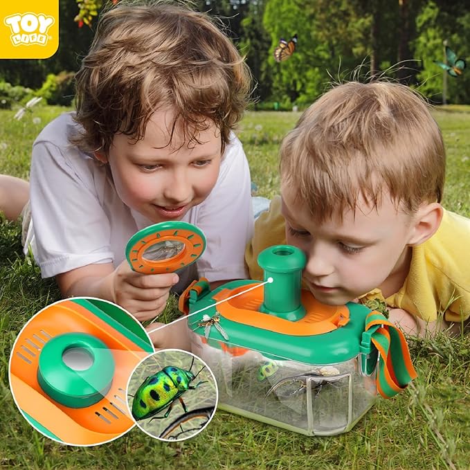 Atrapasueños de mariposas y in - Outdoor Adventure Activities reseña y precio