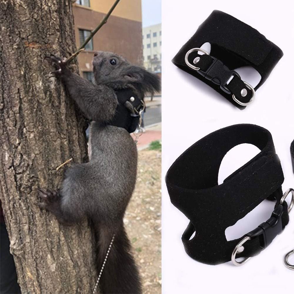 Arnés y Correa Ajustables para - Harness Climbing Adjustable reseña y precio