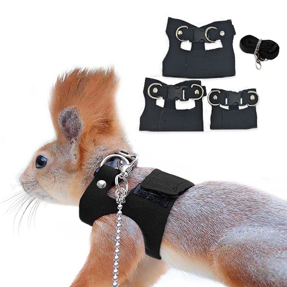 Arnés y Correa Ajustables para - Harness Climbing Adjustable reseña y precio