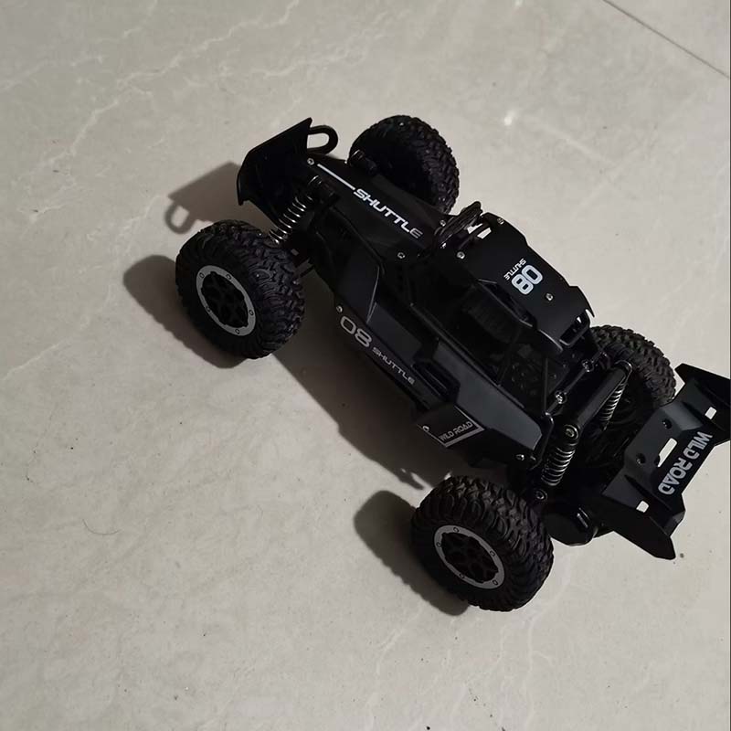 Coche RC 1:16 de Alta Velocida - Outdoor Adventure Toys reseña y precio