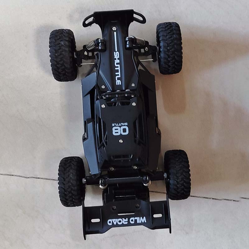 Coche RC 1:16 de Alta Velocida - Outdoor Adventure Toys reseña y precio
